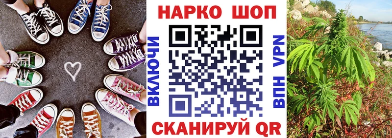 Где купить Шлиссельбург Канабис  АМФ  ГАШИШ 